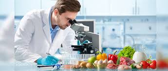 Food Testing Laboratory
